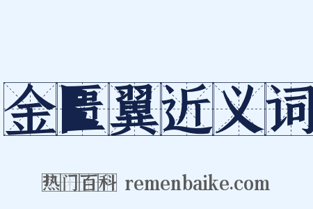 金匮翼近义词是什么意思的图片